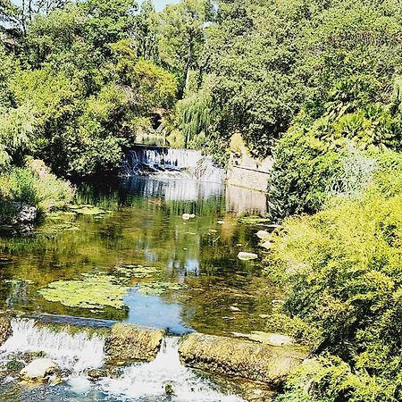 Villa En Pleine Nature Le Muy Eksteriør bilde